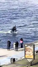 İstanbul Bebek'te Batman ve Örümcek Adam!